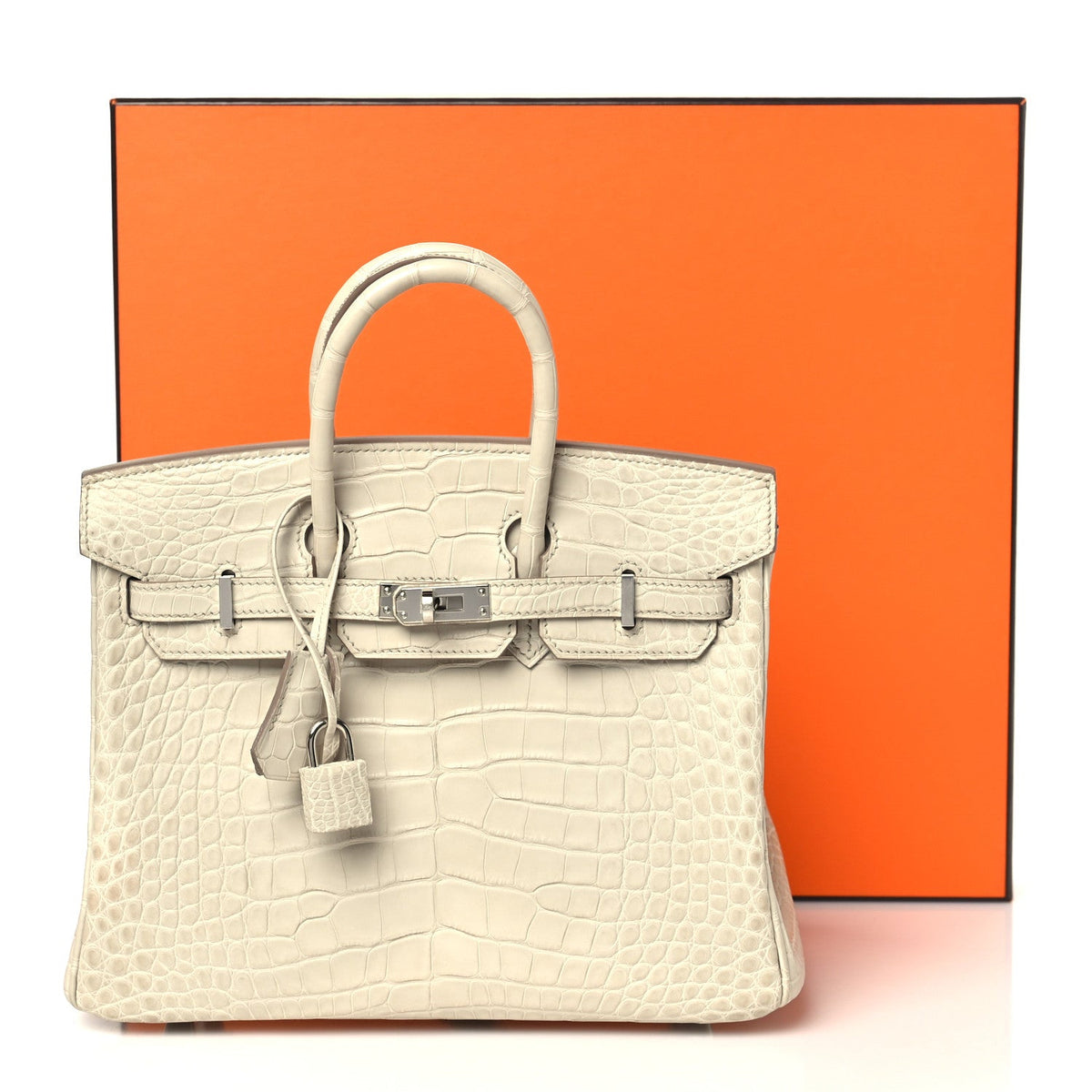 Matte Alligator Birkin 25 Beton Handbag