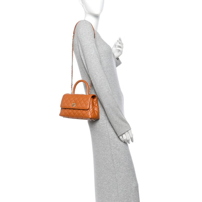 Mini Quilted Caviar Flap Shoulder Bag - Brown