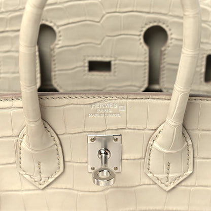 Matte Alligator Birkin 25 Beton Handbag