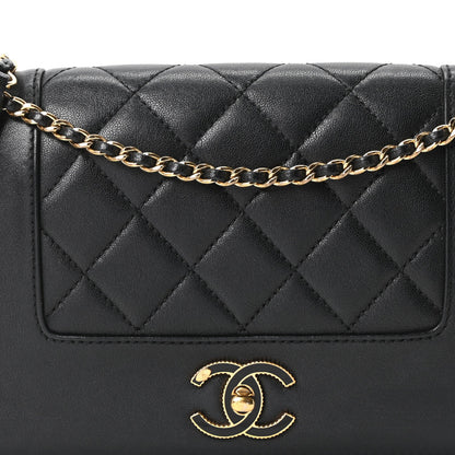 Small Quilted Sheepskin Flap Shoulder Bag - Black