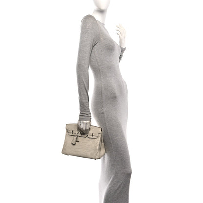 Matte Alligator Birkin 25 Beton Handbag