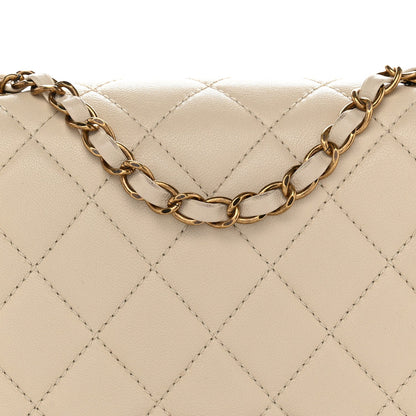 Large Quilted Sheepskin Flap Shoulder Bag - Beige