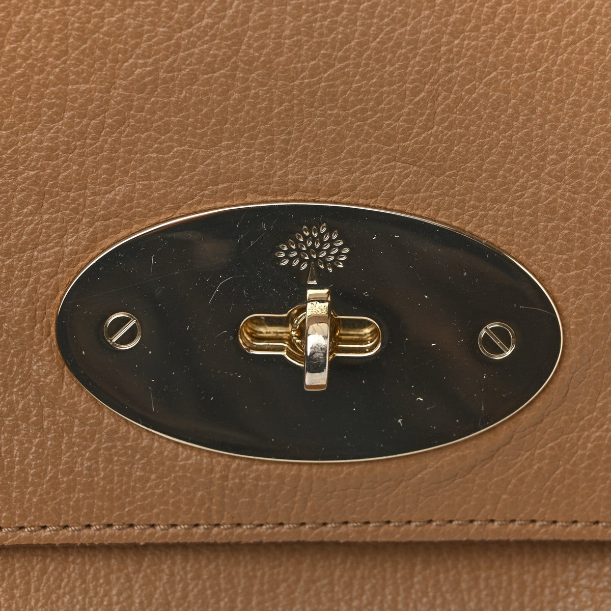 Medium Goatskin Satchel Bag