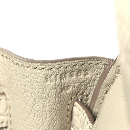 Matte Alligator Birkin 25 Beton Handbag