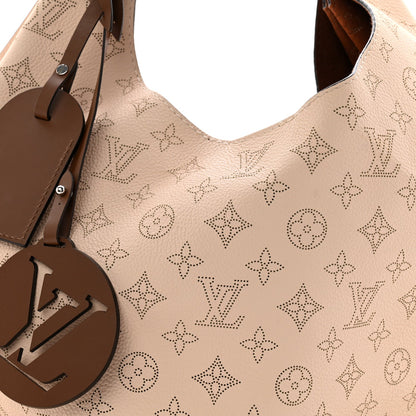 Hobo Bag