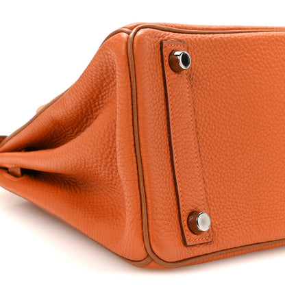Togo Verso Birkin 25 Potiron Fauve Handbag