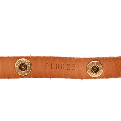 Monogram Pochette Florentine Xs Handbag