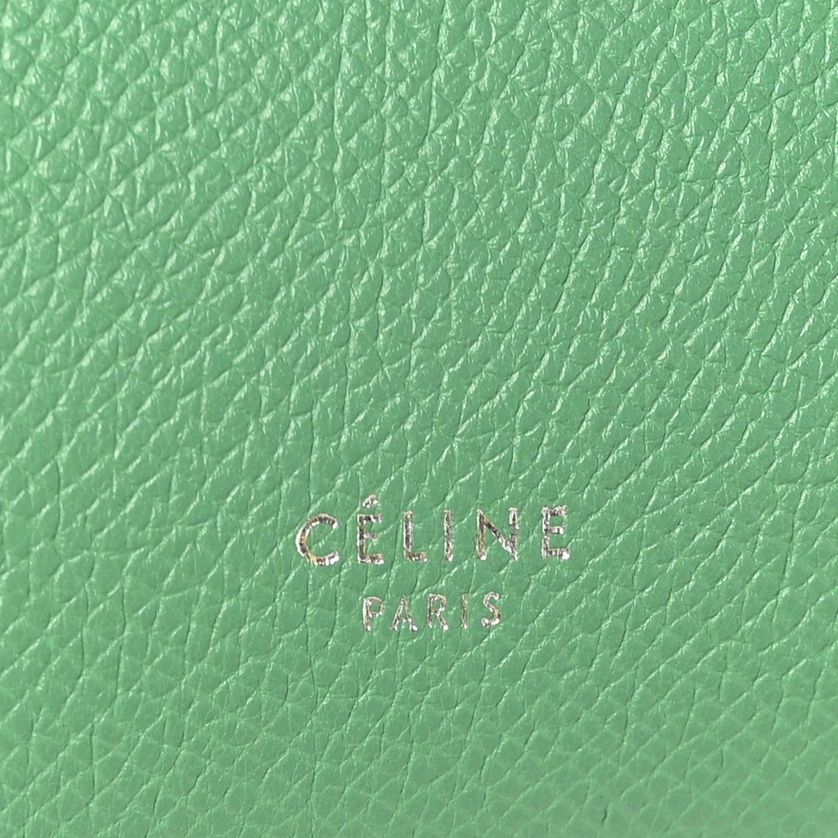 Calfskin Belt Bag - Green