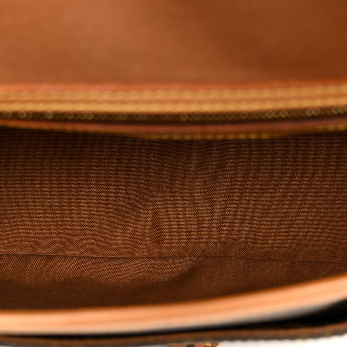 Monogram Sologne Handbag