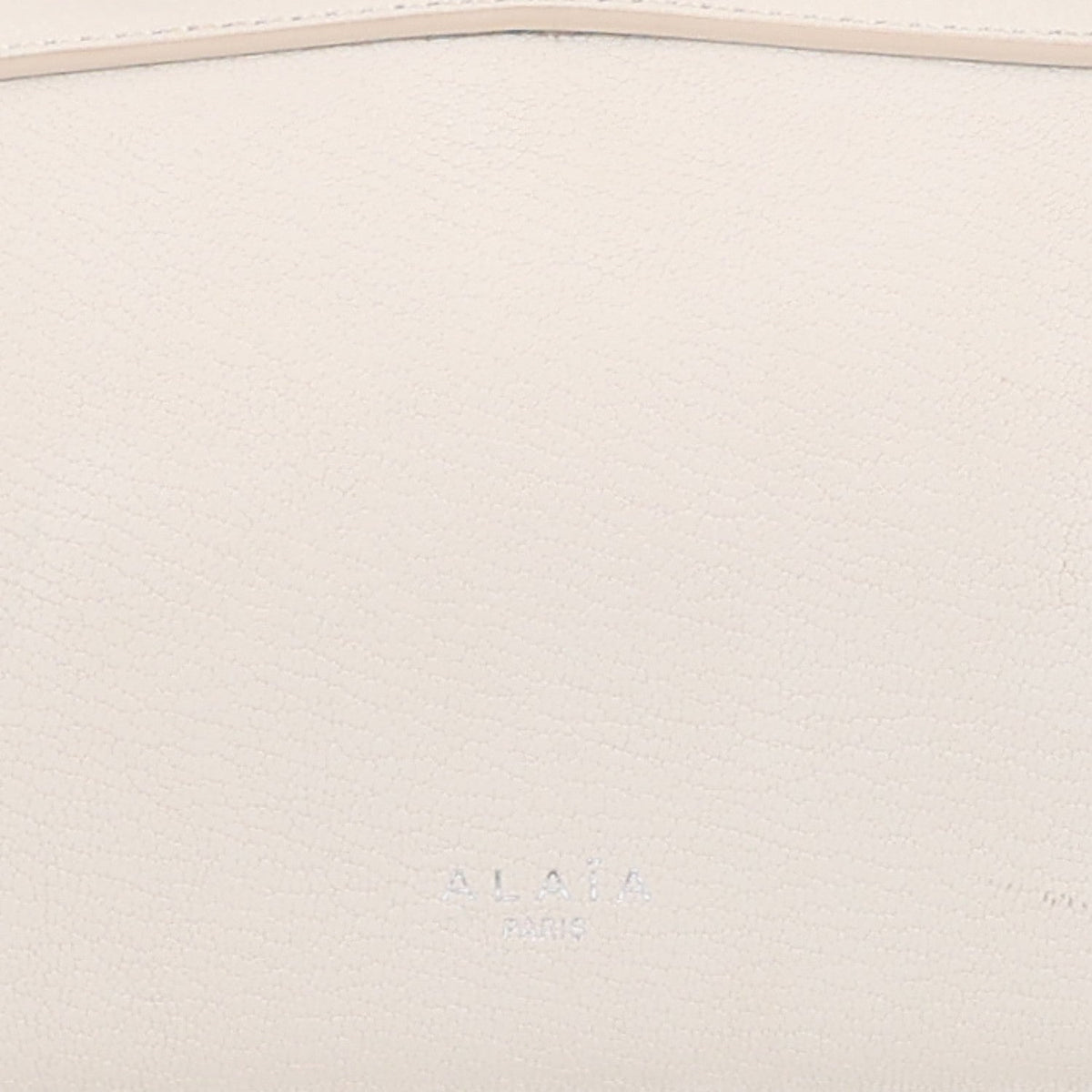 Medium Goatskin Handbag