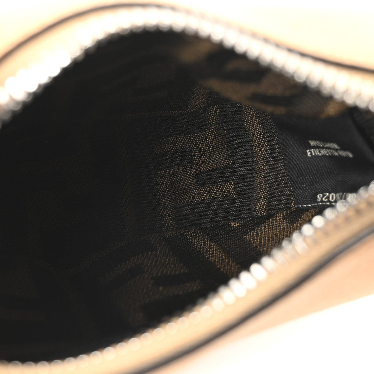 Nano Hobo Bag