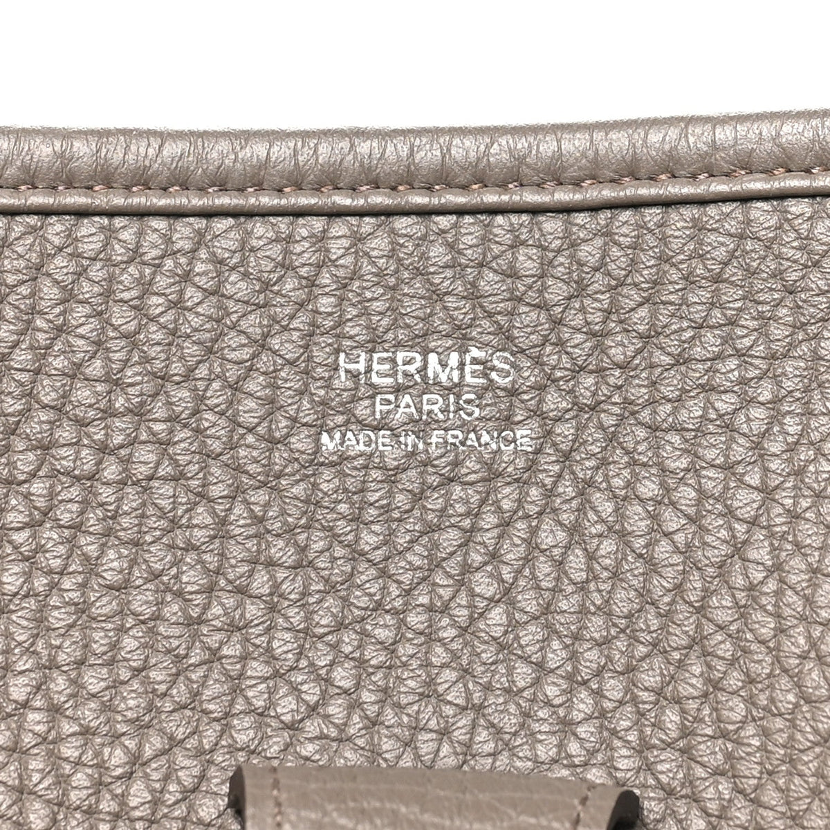 Taurillon Clemence Amazone Evelyne Iii G Handbag