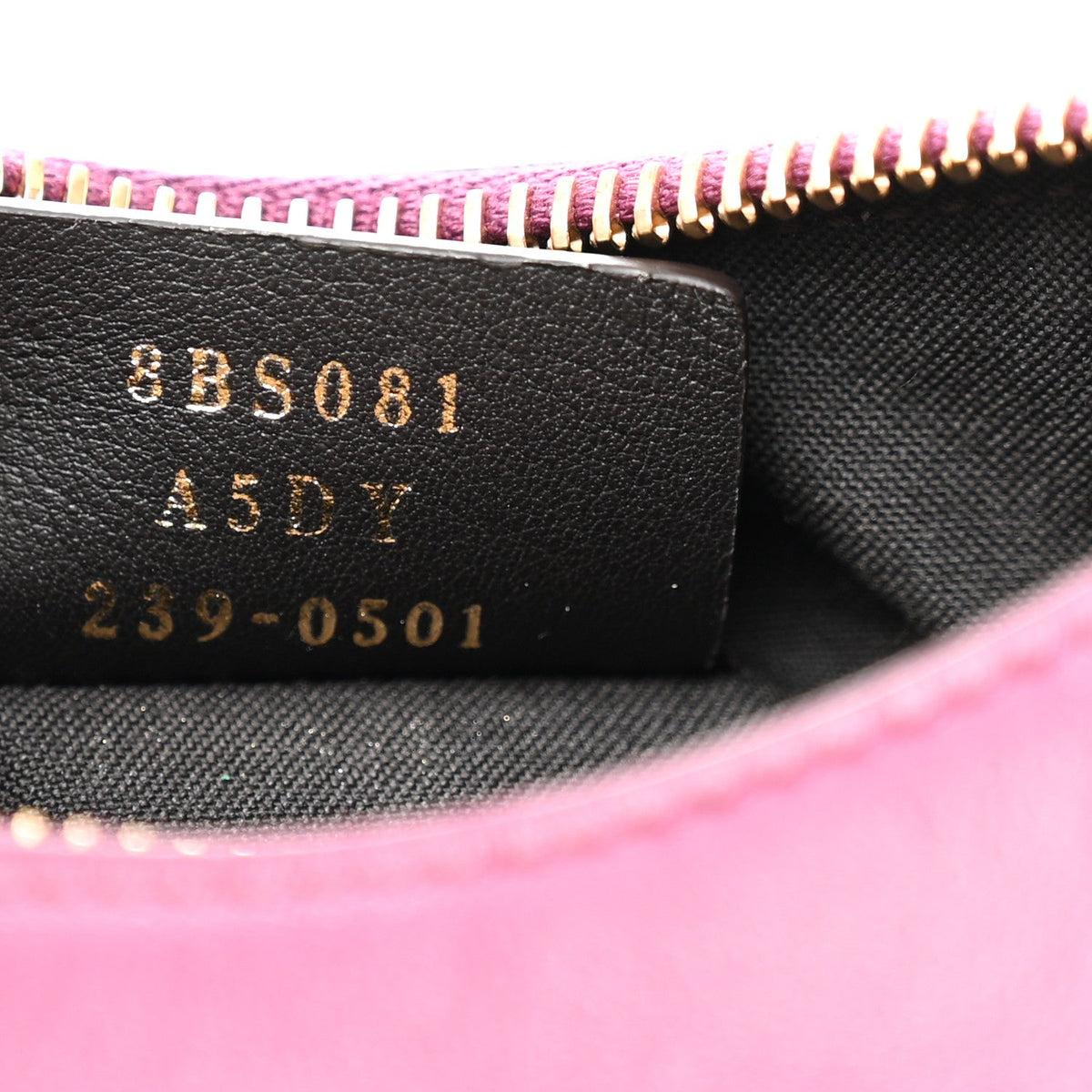 Mini Hobo Bag