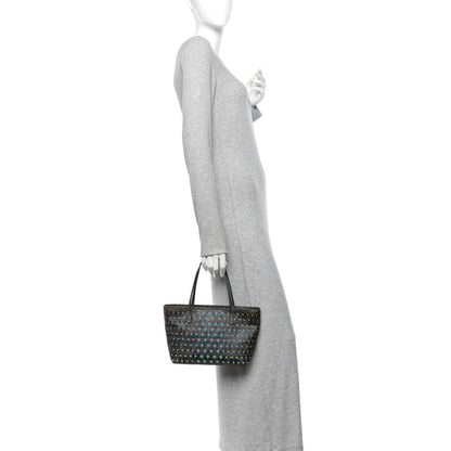 Mini Tote Bag