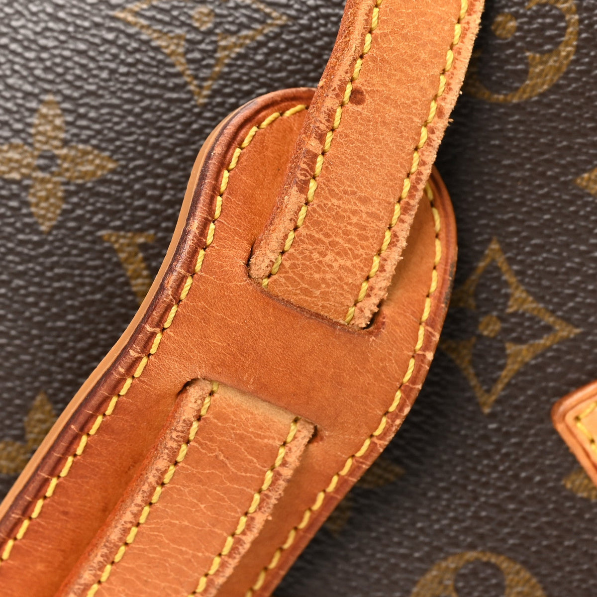 Monogram Sologne Handbag