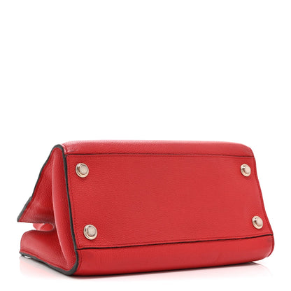 Taurillon City Steamer Pm Rouge Handbag