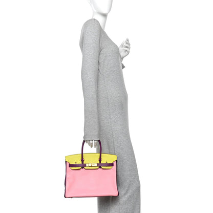 Chevre Mysore Horseshoe Birkin 30 Rose C Handbag