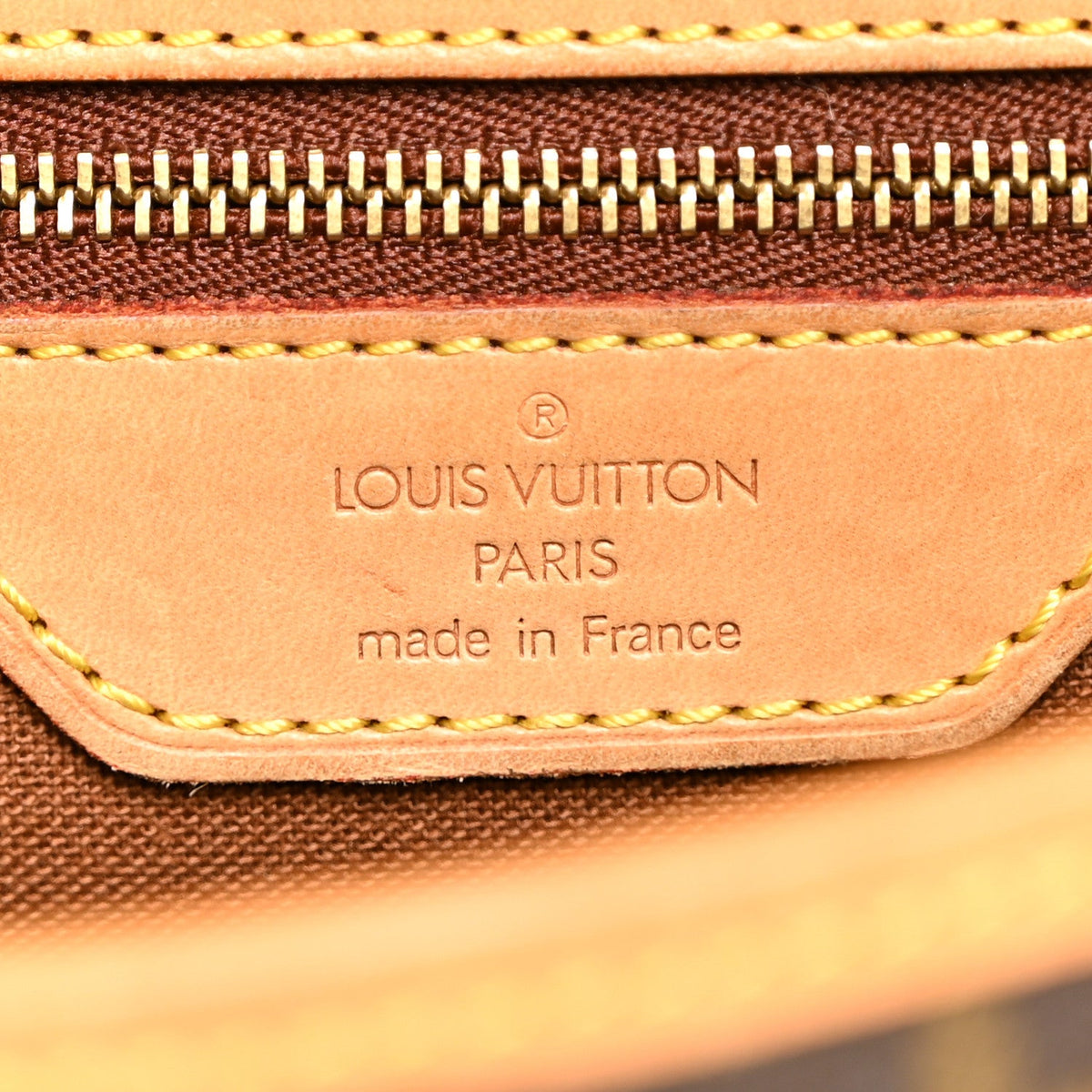Monogram Sologne Handbag