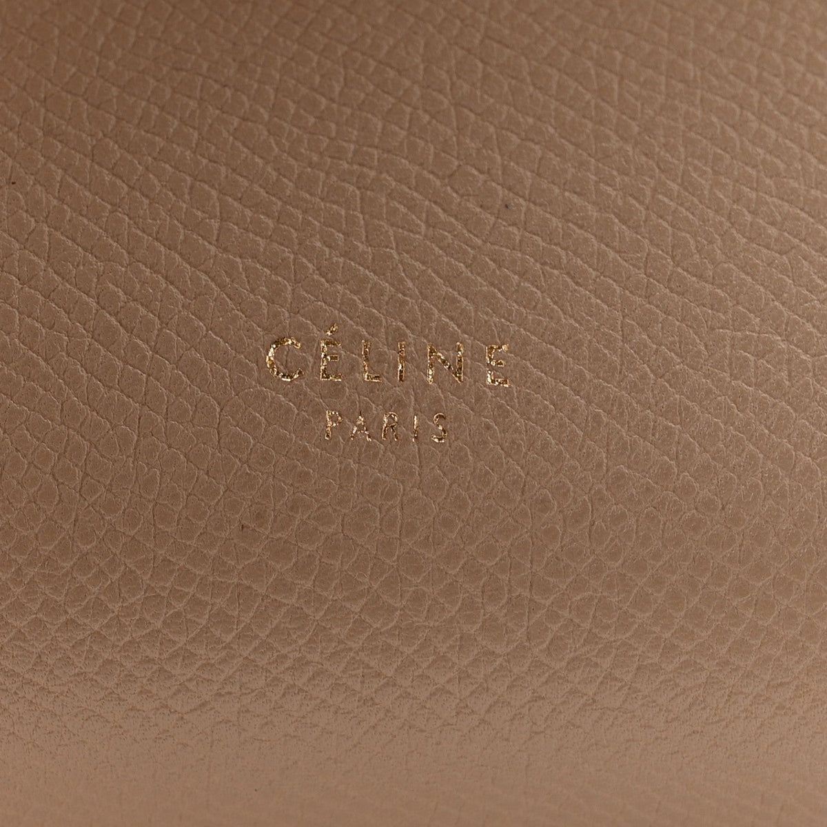 Mini Calfskin Belt Bag