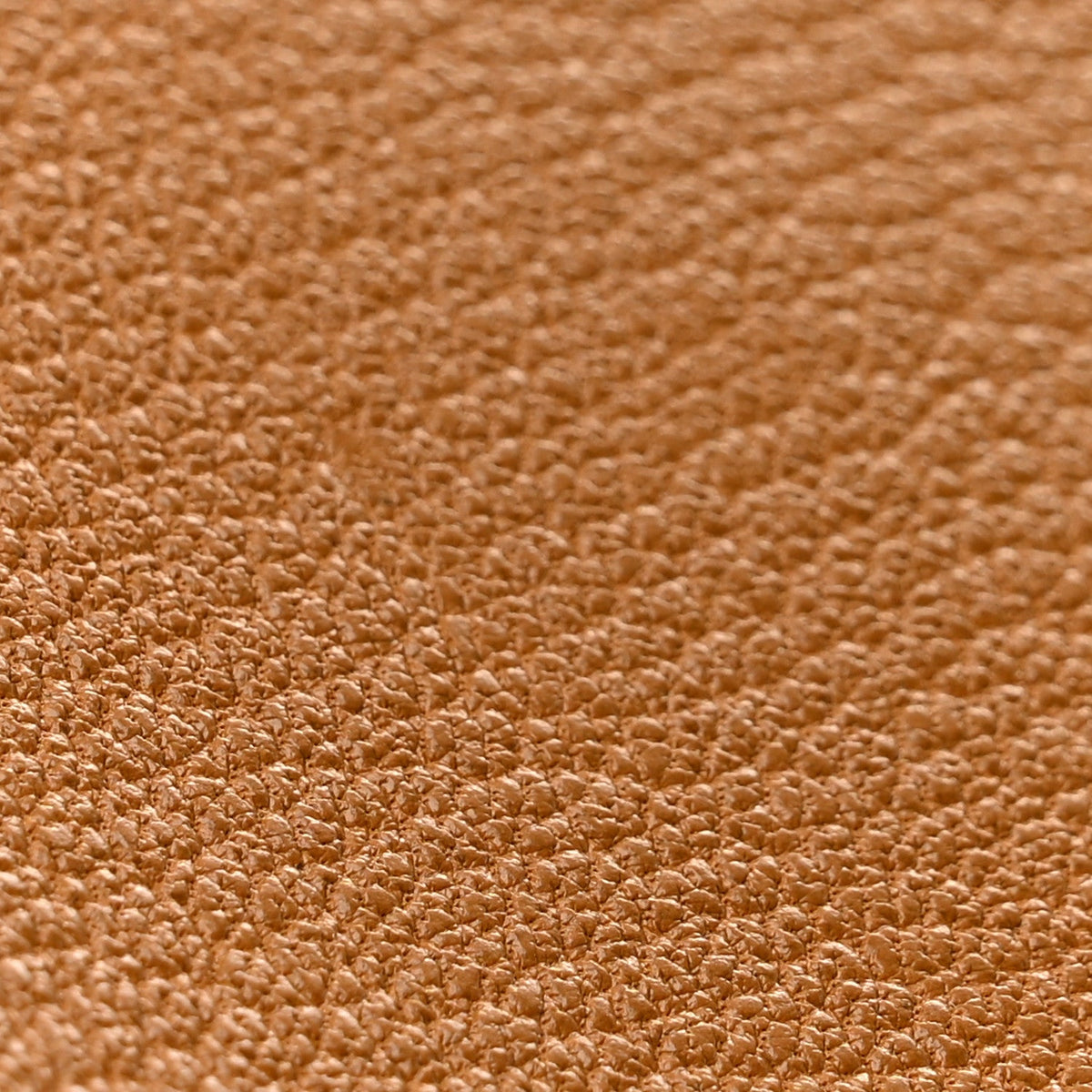Chevre Mysore Geta Caramel Handbag