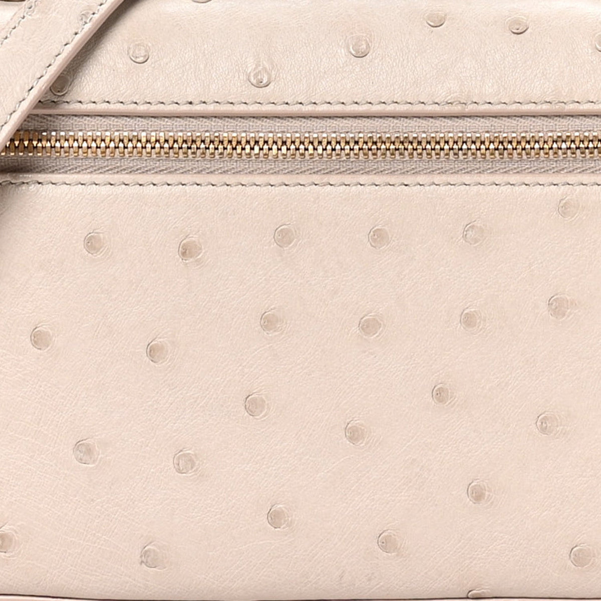 Loro Pianaostrich L19 Extra Pocket Pouch Pouch