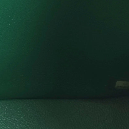Quilted Caviar Flap Shoulder Bag - Green