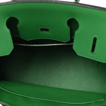Taurillon Clemence Birkin 30 Menthe Handbag