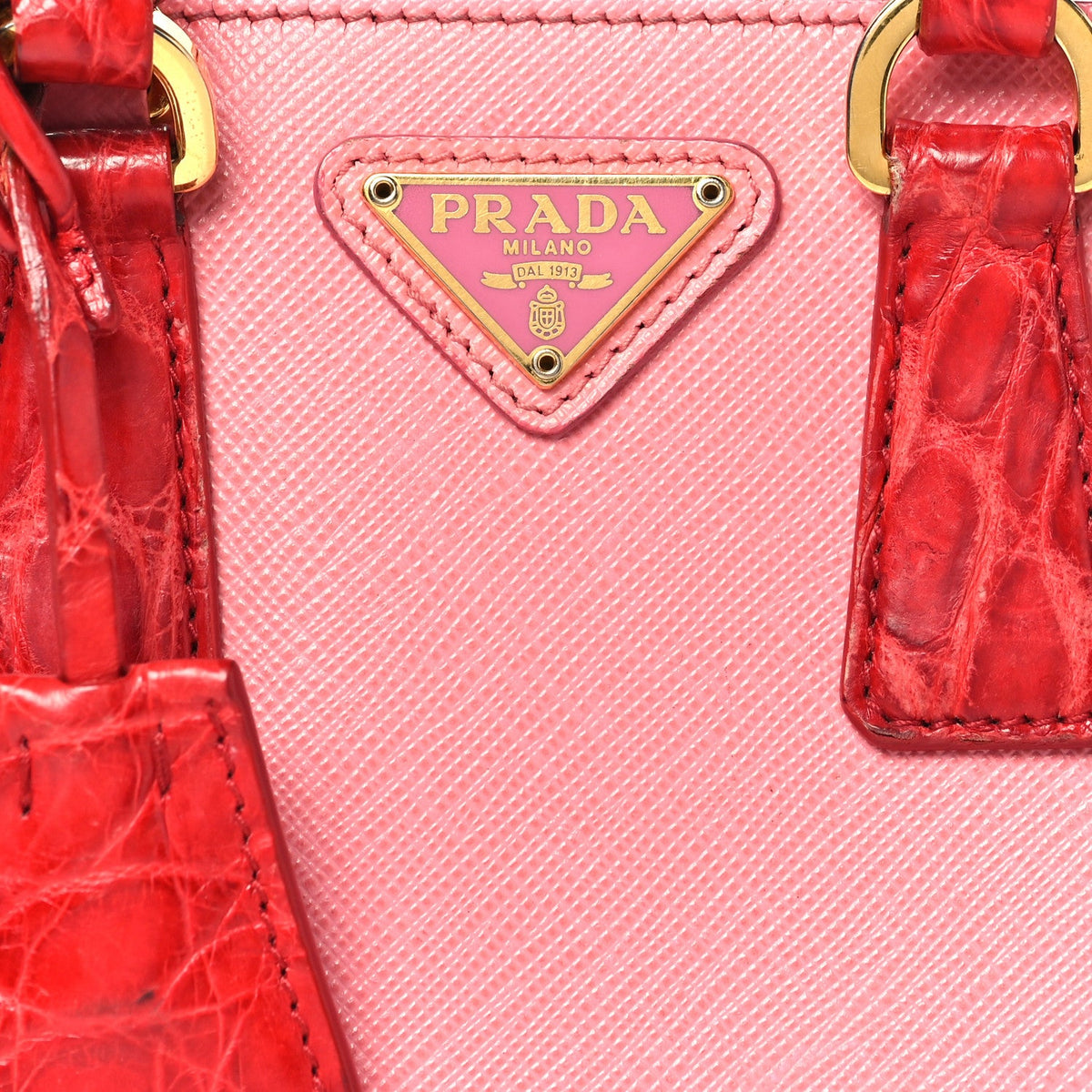 Mini Tote Bag