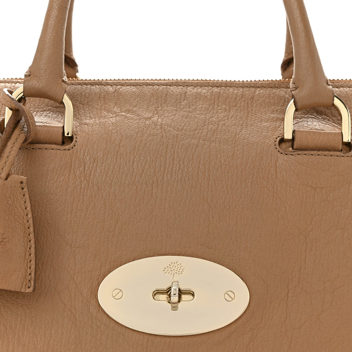 Medium Goatskin Satchel Bag
