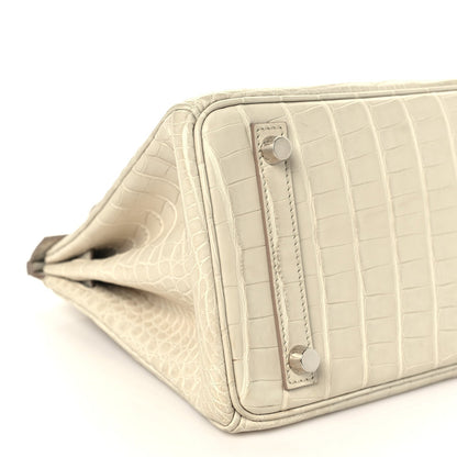 Matte Alligator Birkin 25 Beton Handbag