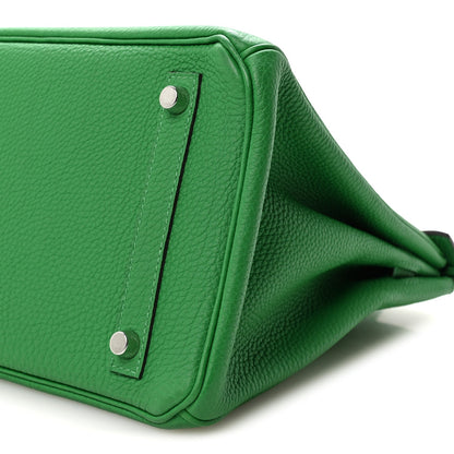 Taurillon Clemence Birkin 30 Menthe Handbag