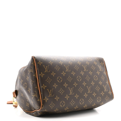 Monogram Speedy Soft 30 Boho Handbag