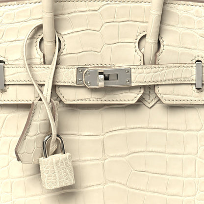 Matte Alligator Birkin 25 Beton Handbag