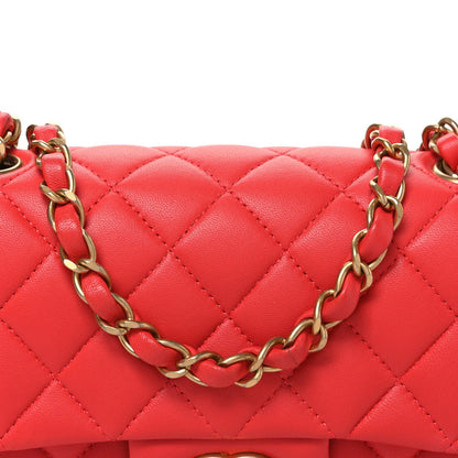 Mini Quilted Lambskin Flap Shoulder Bag - Tan