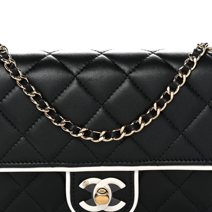 Mini Quilted Lambskin Flap Shoulder Bag - Black