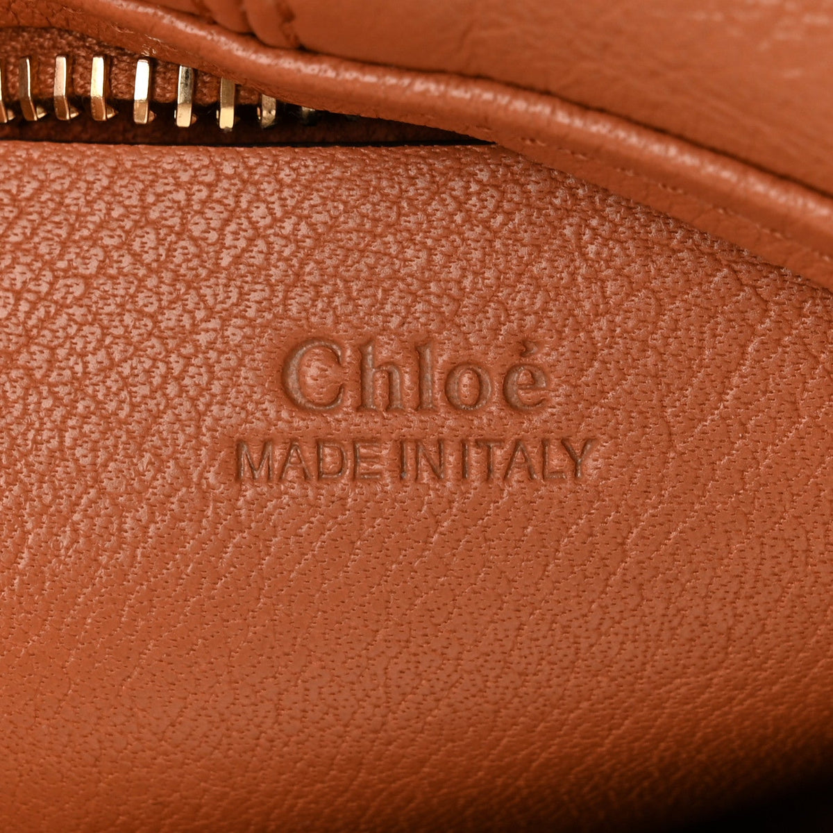 Small Calfskin Hobo Bag