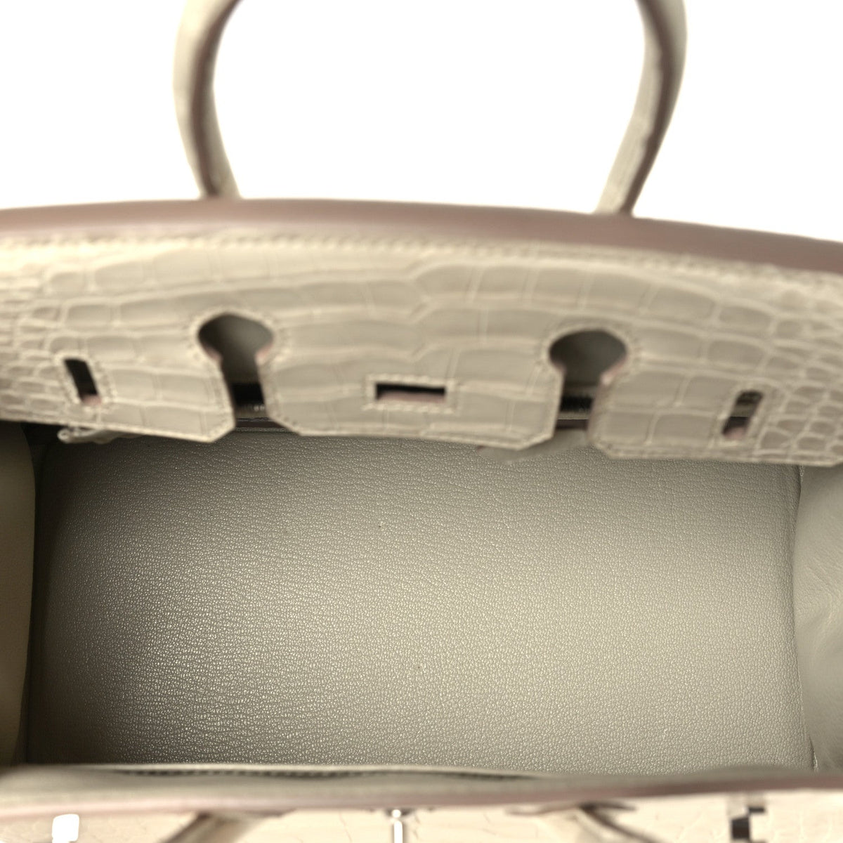 Matte Alligator Birkin 25 Beton Handbag