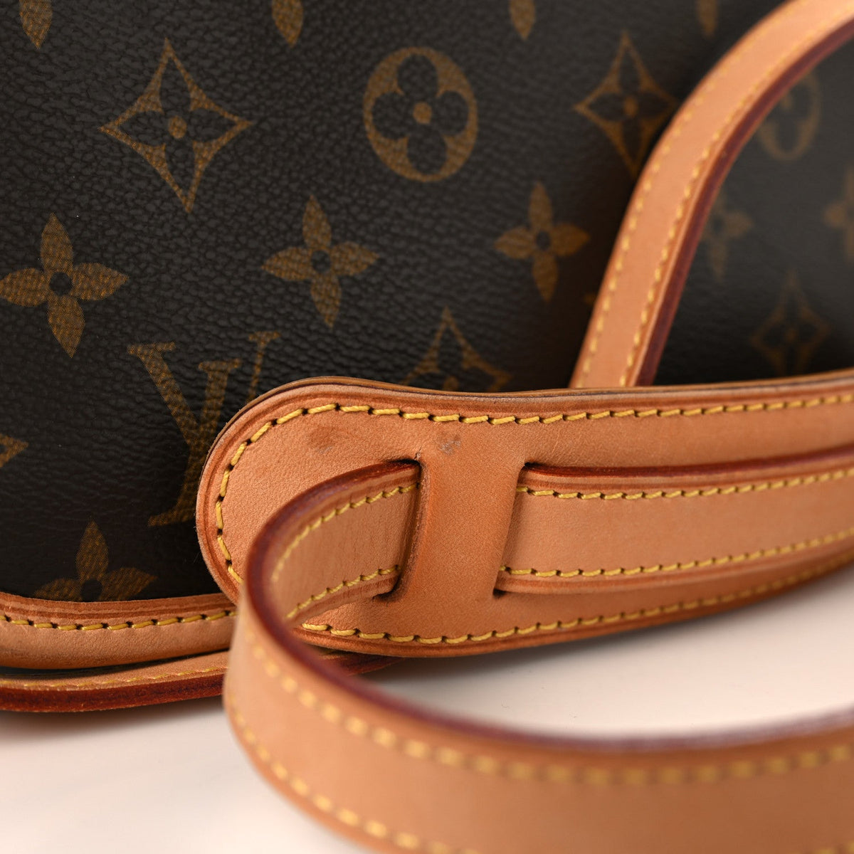 Monogram Sologne Handbag