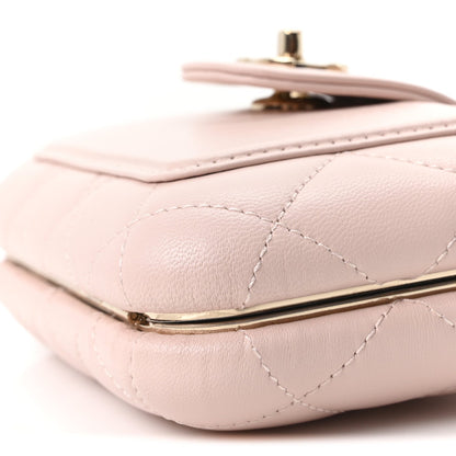 Mini Quilted Lambskin Handbag - Pink
