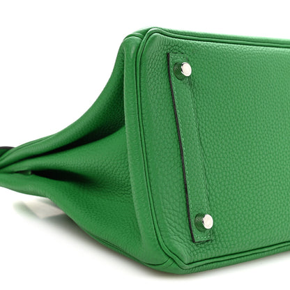 Taurillon Clemence Birkin 30 Menthe Handbag