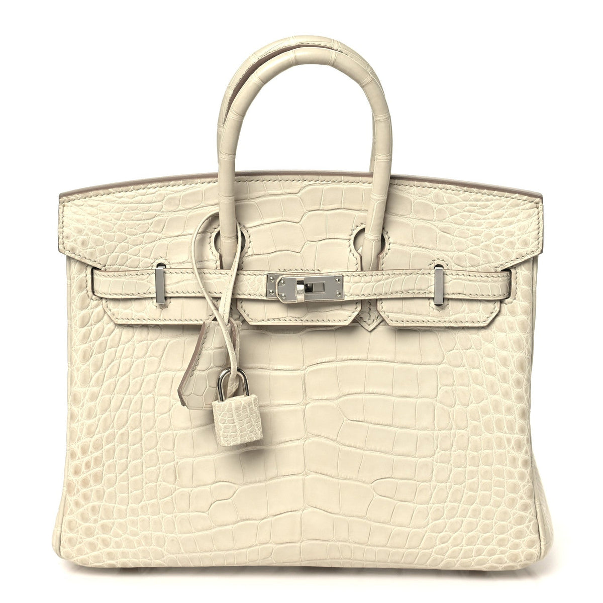 Matte Alligator Birkin 25 Beton Handbag