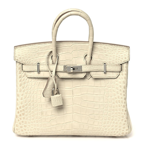 Matte Alligator Birkin 25 Beton Handbag