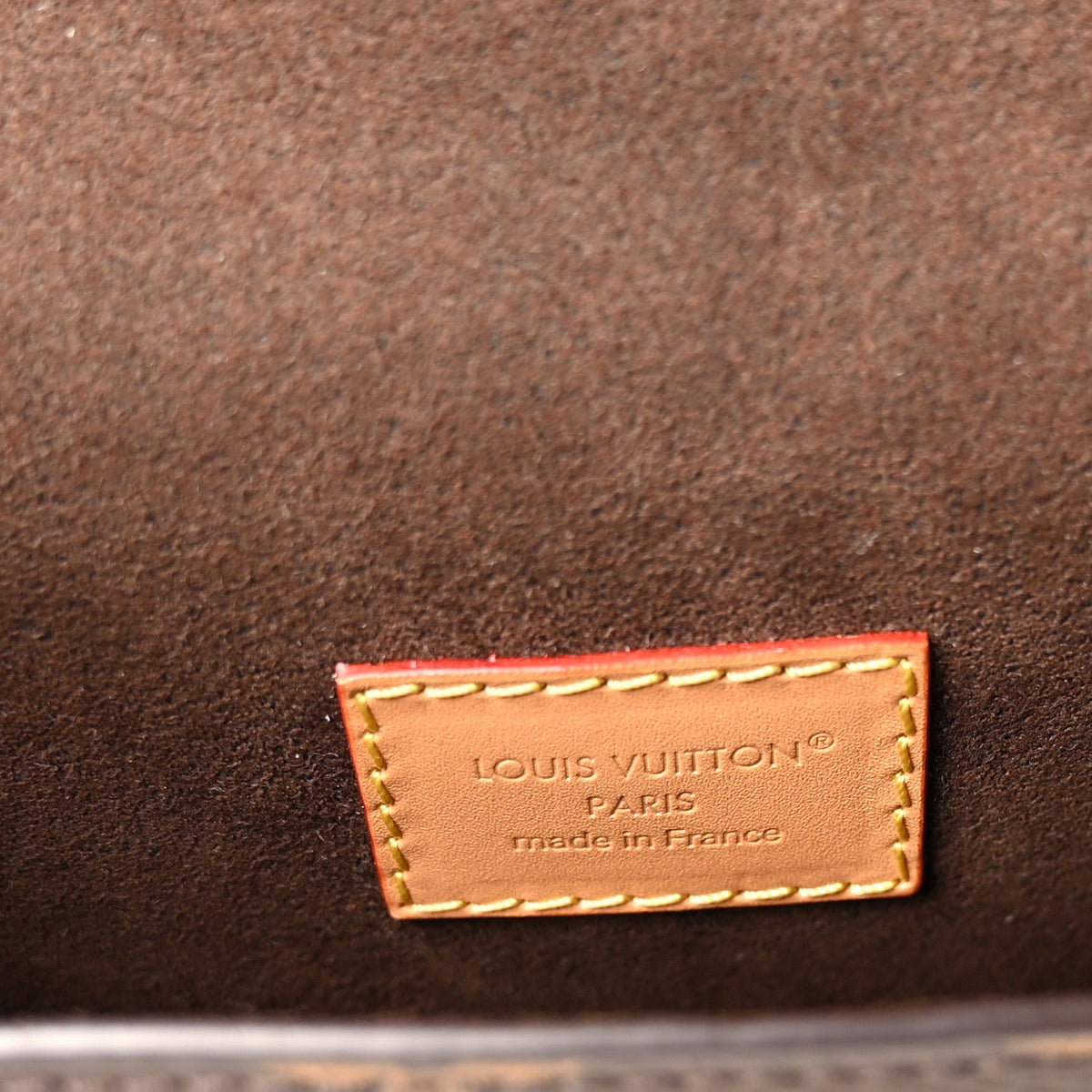 Monogram Pochette Camille Handbag