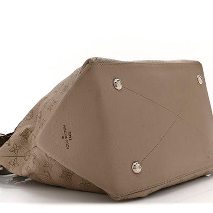 Hobo Bag