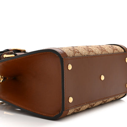 Mini Calfskin Canvas Tote Bag