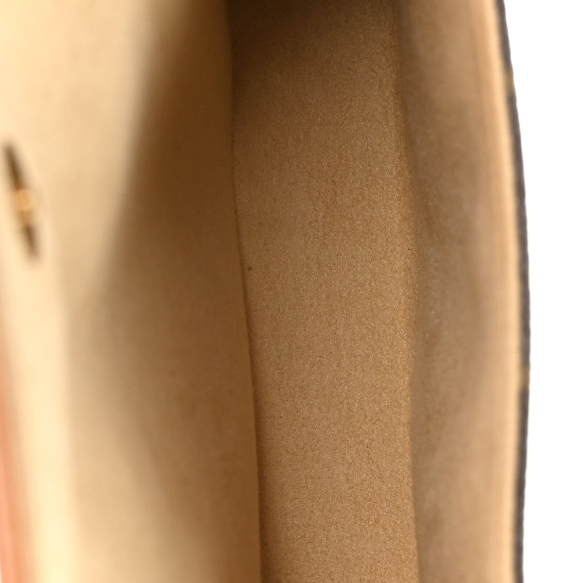 Monogram Pochette Florentine Xs Handbag