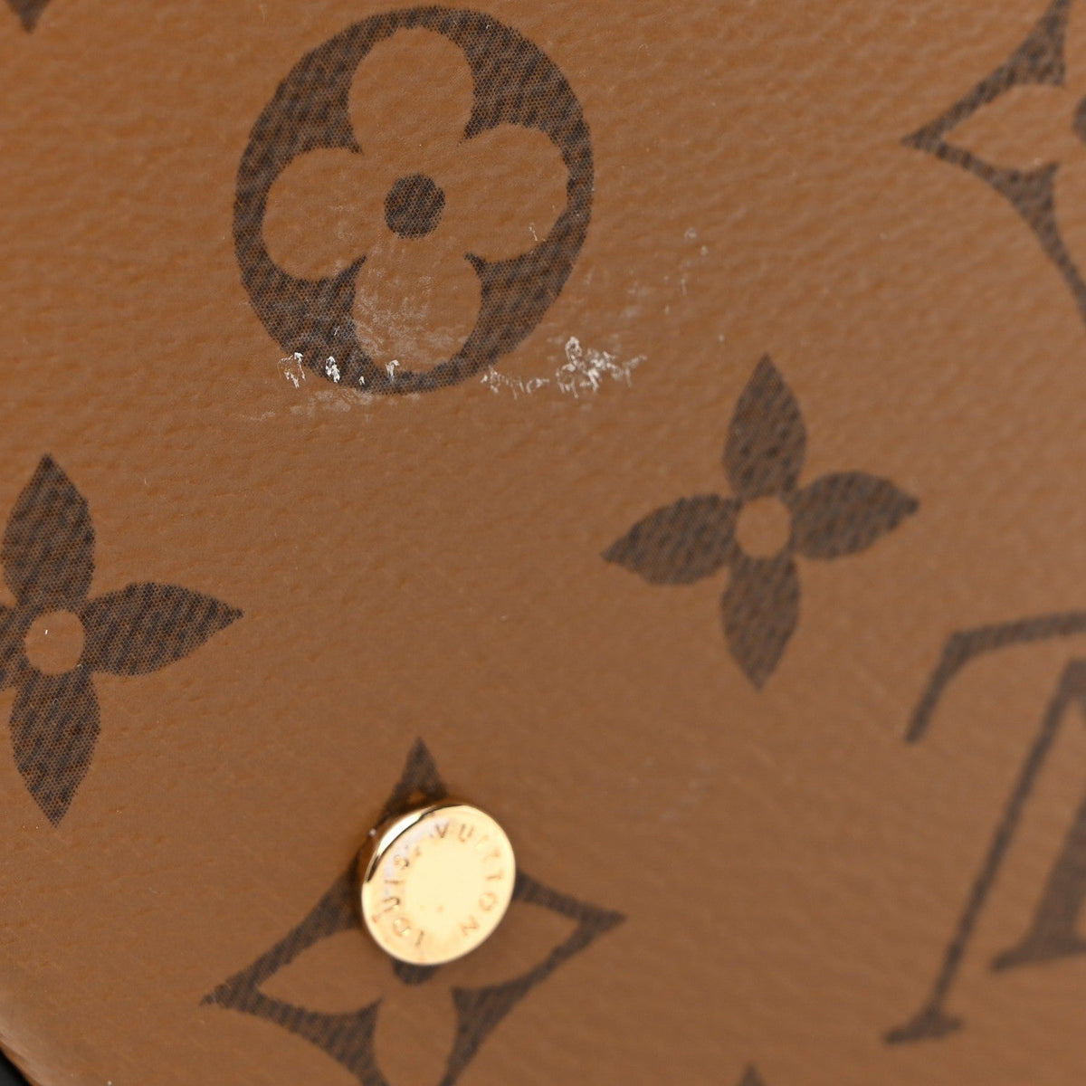 Reverse Monogram Cannes Handbag