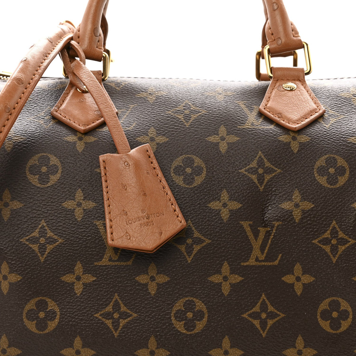 Monogram Speedy Soft 30 Boho Handbag