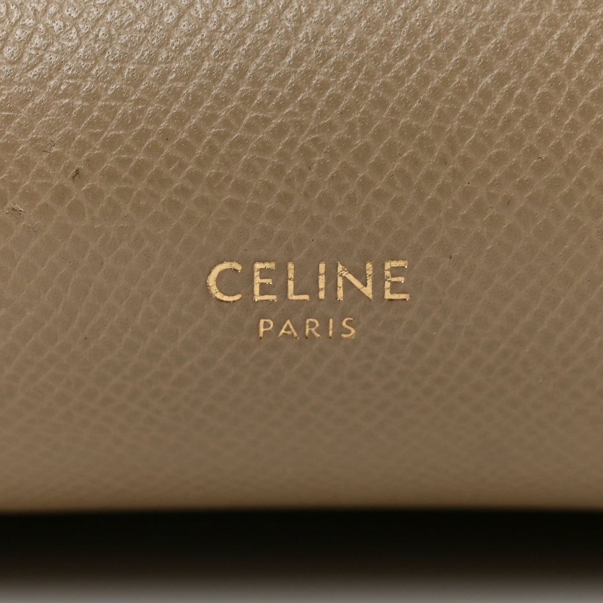 Mini Calfskin Belt Bag