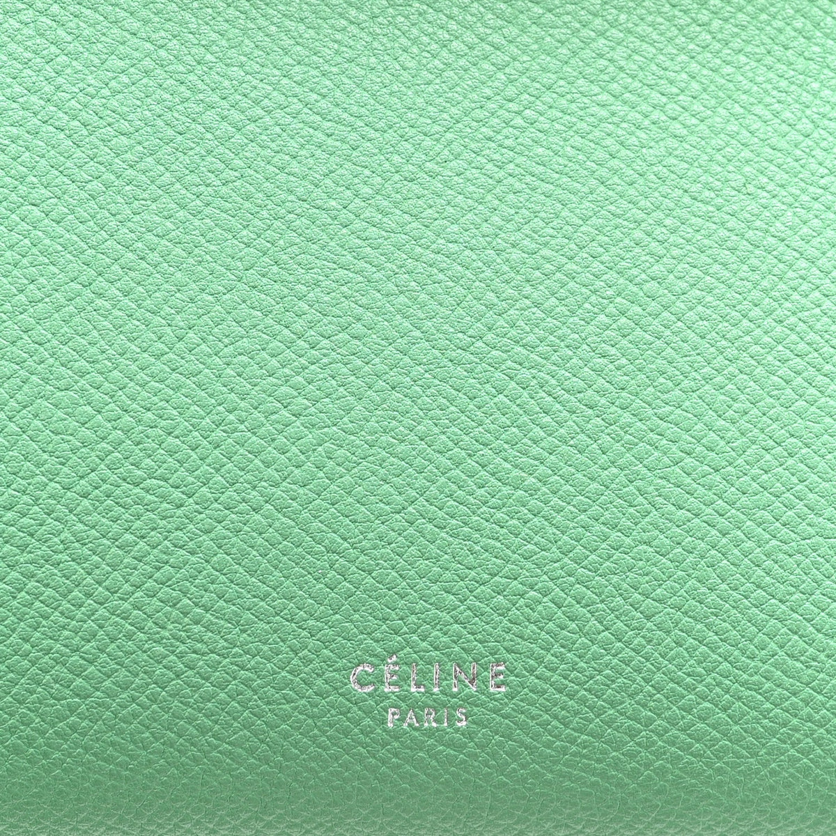 Calfskin Belt Bag - Green